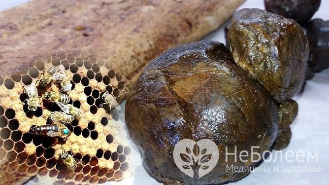 Прополис, или пчелиный клей – уникальное природное вещество, обладающее множеством лечебных свойств