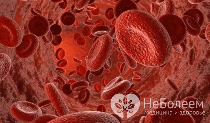 Эритроциты - красные кровяные тельца, чьей функцией является перенос кислорода в ткани