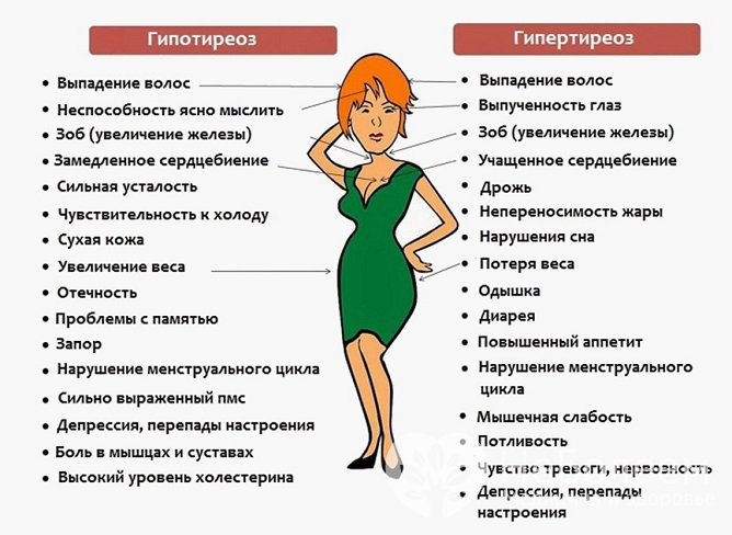 Изучение свободной фракции Т4 помогает в определении гипо- и гипертиреоза