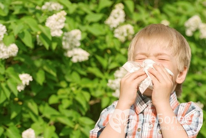 В группе риска по развитию хронического тонзиллита находятся дети с аллергией