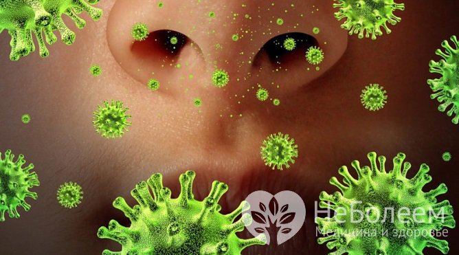 Воспалительный процесс в небных миндалинах может вызвать вирус гриппа