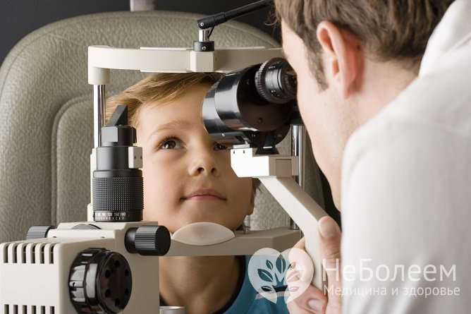 При подозрении на повышенное внутричерепное давление ребенка должен осмотреть офтальмолог