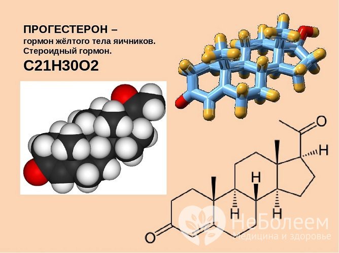 Прогестерон - один из основных гормонов женской репродуктивной системы
