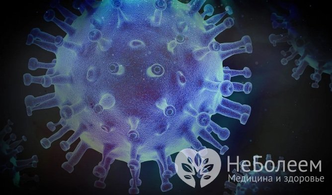 Меры профилактики вирусных заболеваний