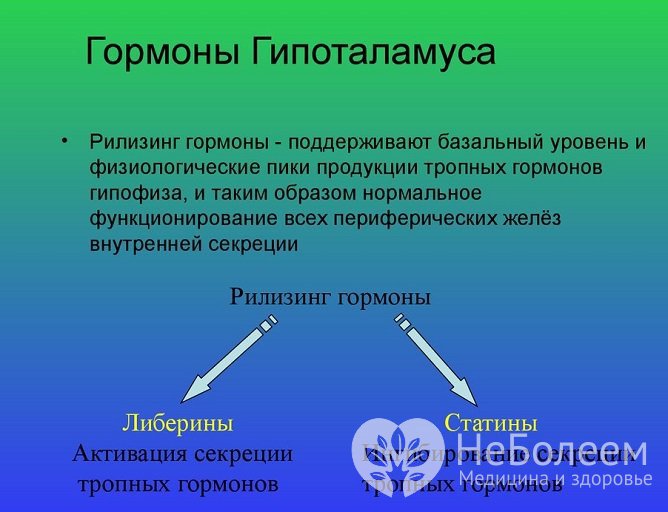 Гонадотропин-рилизинг гормон, его функции в организме и применение в медицине