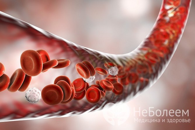 Varicella Zoster попадает в кровь в продромальном периоде