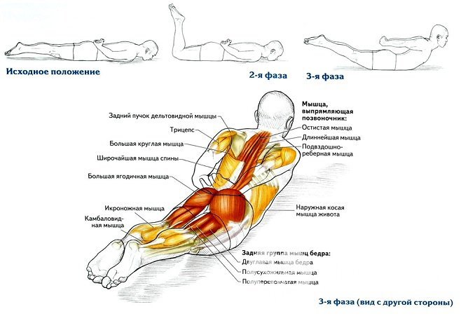 Одна из важных профилактических мер – тренировка мышц спины