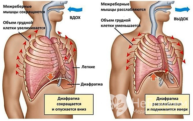 Для ускорения выздоровления назначается дыхательная гимнастика