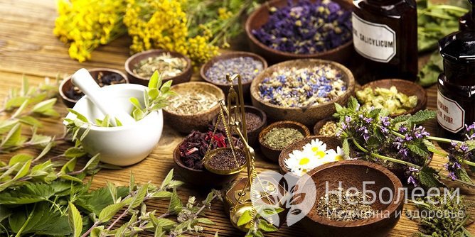 Возможно ли лечение кисты почки народными средствами